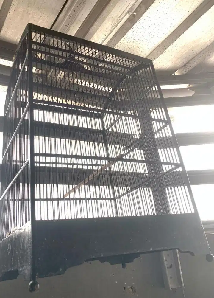 sangkar kandang burung replika ebod no 2