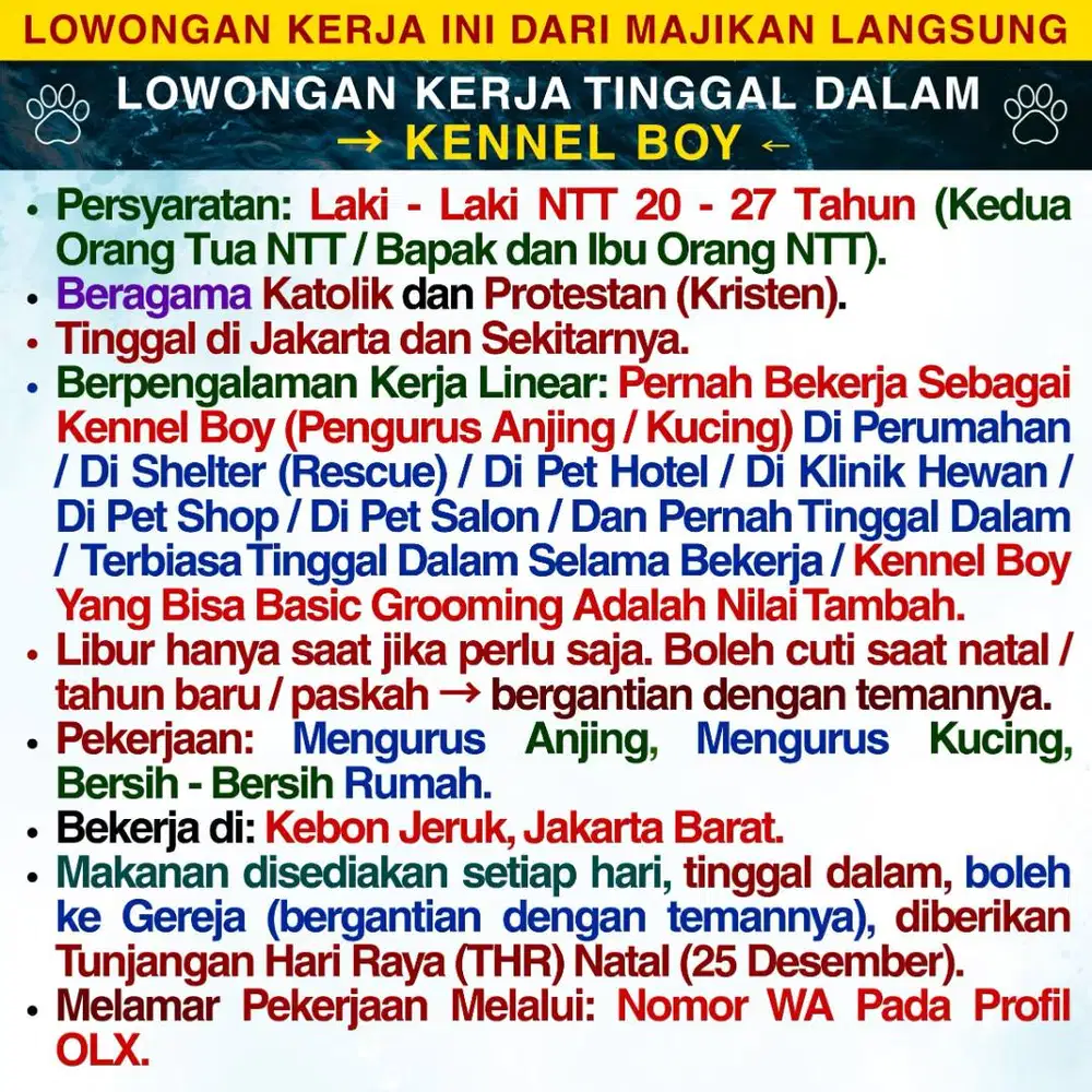 KENNEL BOY ASAL NTT ART LAKI - LAKI ASAL NTT AGAMA KATOLIK & PROTESTAN