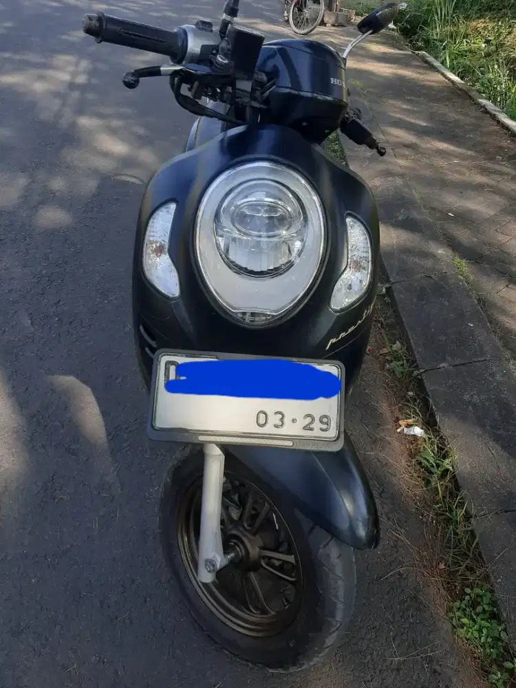 Djual Scoopy Prestige 2024
