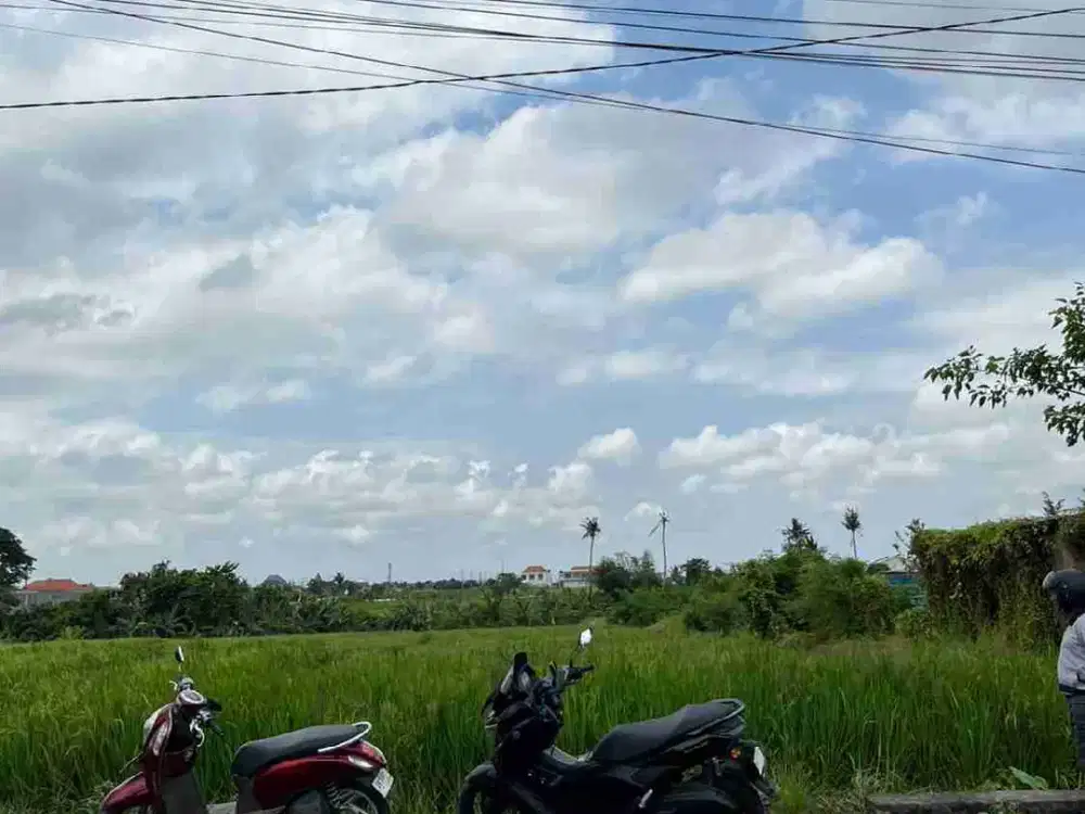TANAH JALAN UTAMA PANTAI MUNGGU SESEH BADUNG BALI COCOK UNTUK INVESTASI YG BERNILAI TINGGI