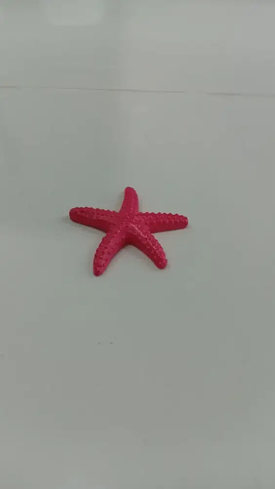 Bintang laut merah