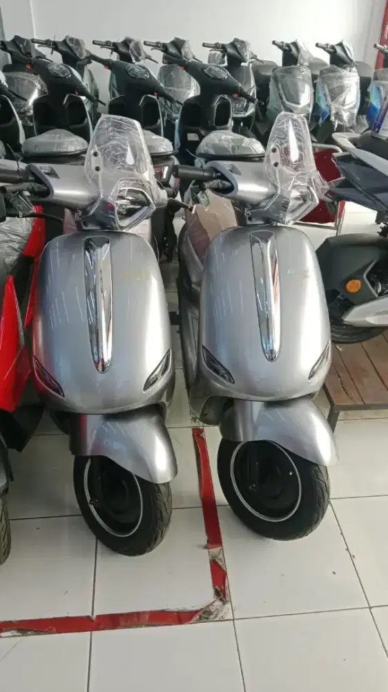 Sepeda listrik T80c