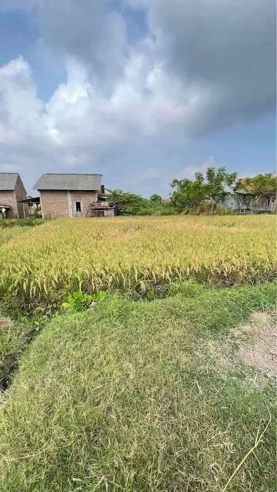 DIJUAL MURAH TANAH