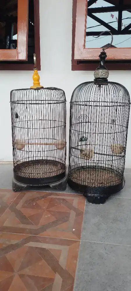 Dijual sangkar love bird