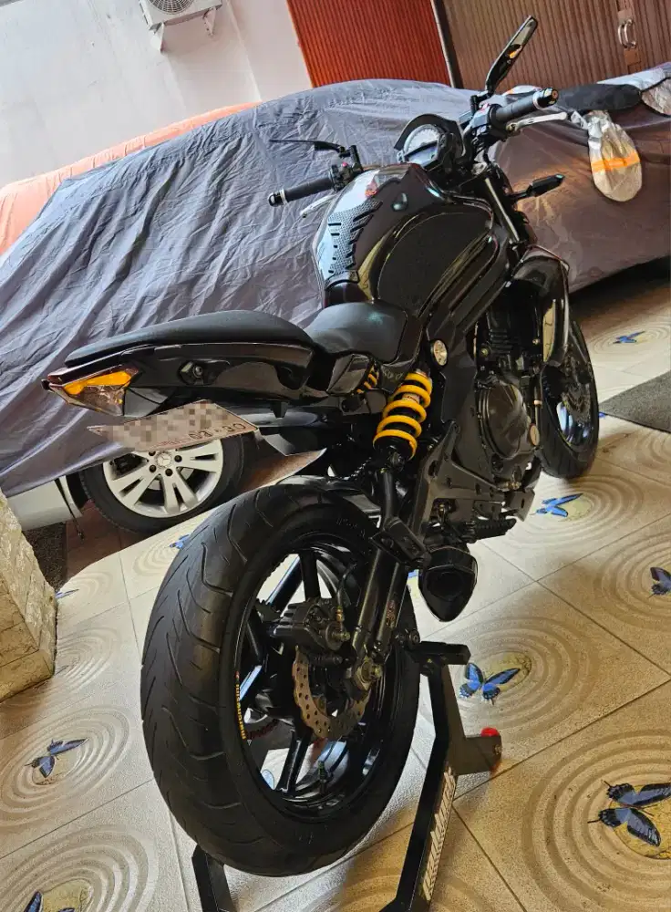 Kawasaki Er6n / er6n Super Terawat!