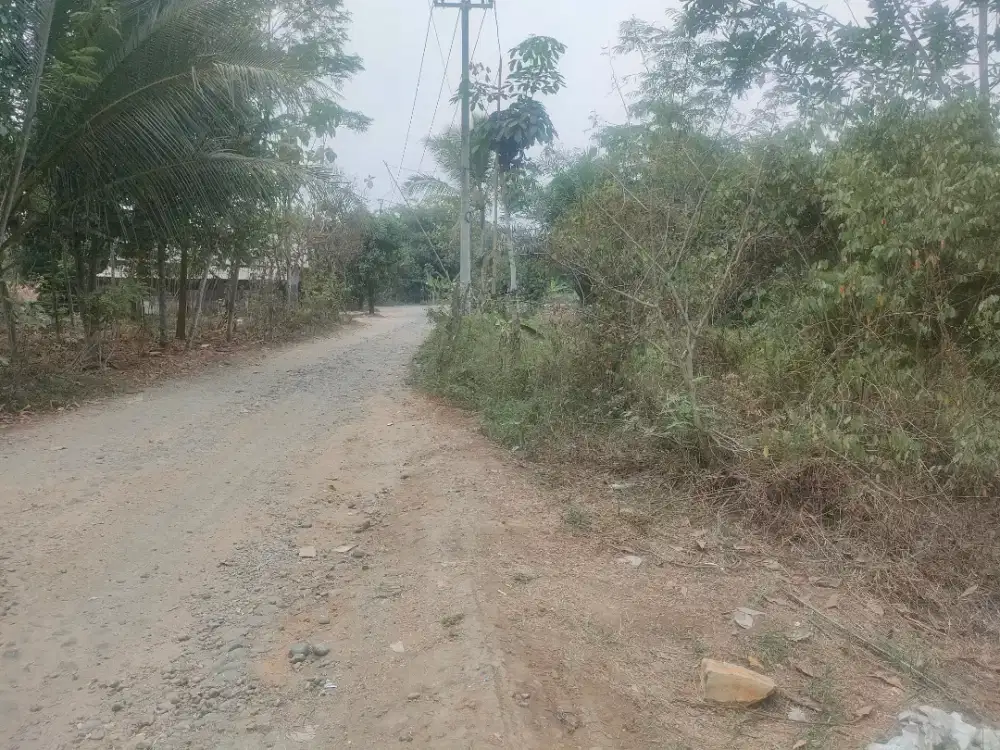 Di jual tanah cepat