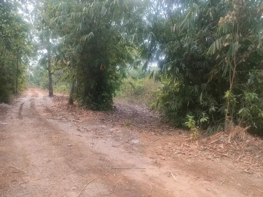 Di jual tanah segera