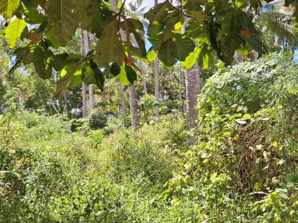 Dijual Tanah View Laut Lokasi Premium dekat Pantai di Nusa Penida.