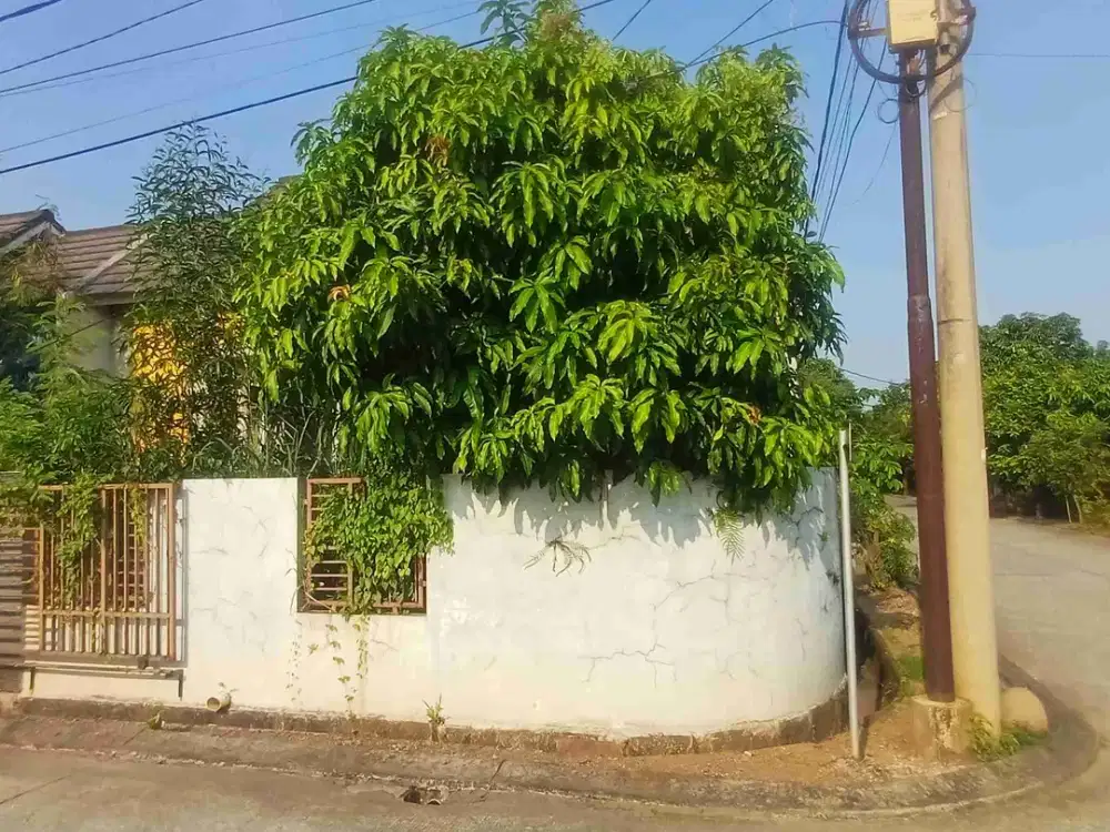 Rumah Murah  Hook perumahan Harvest City Sinar Mas Group
