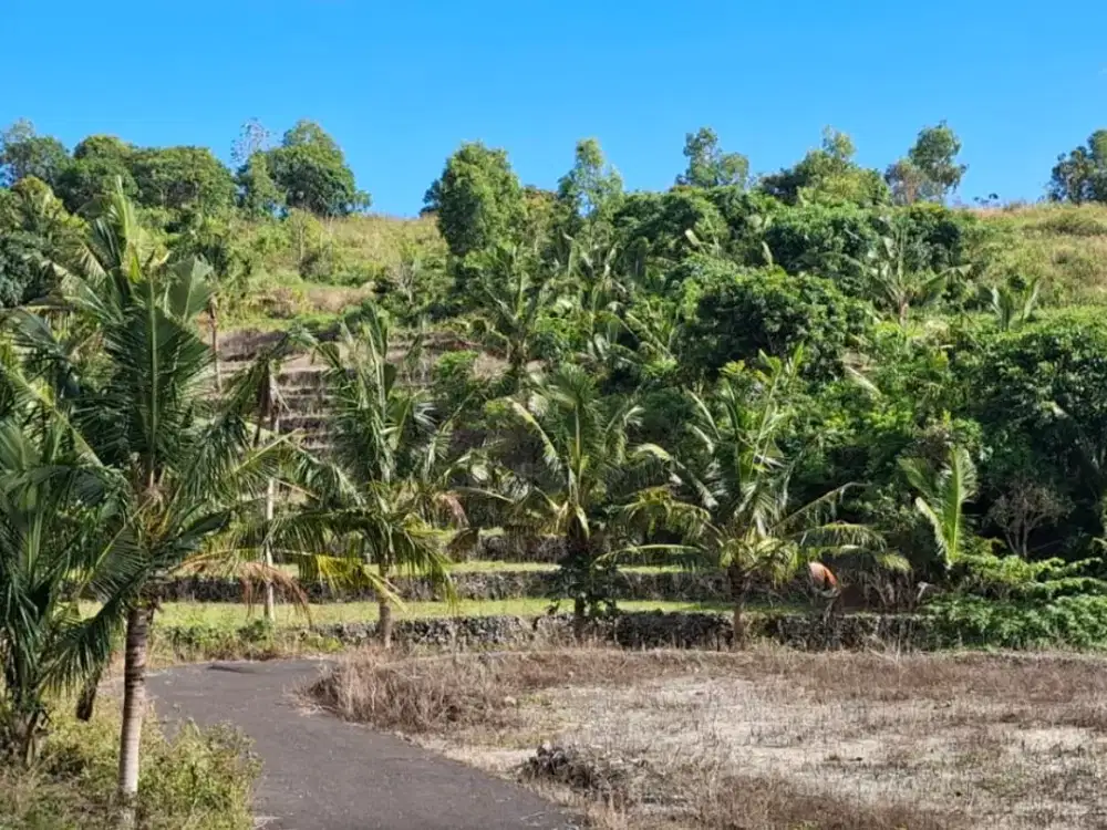 Dijual Tanah 2,3 Hektar Lokasi Tenang di Desa Kutampi/Tanglad, Nusa Penida.