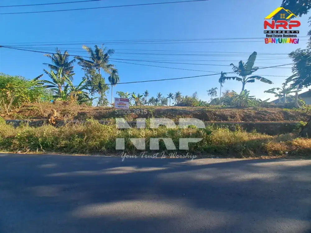 Dijual Tanah Kering Murah di Kabat  - Banyuwangi
