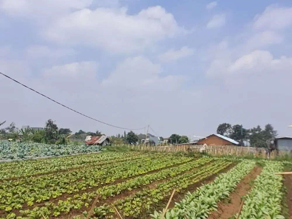 Harga Murah Tanah Kavling Setiabudi Regency View Kota Bandung