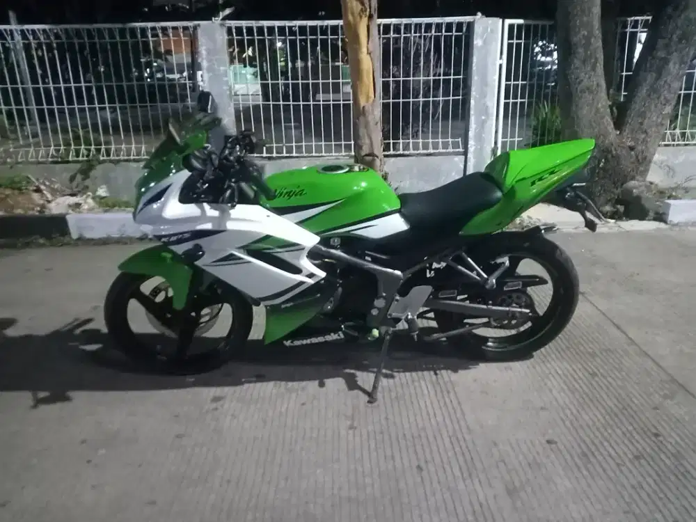 Kawasaki ninja rr 2014 aniversary