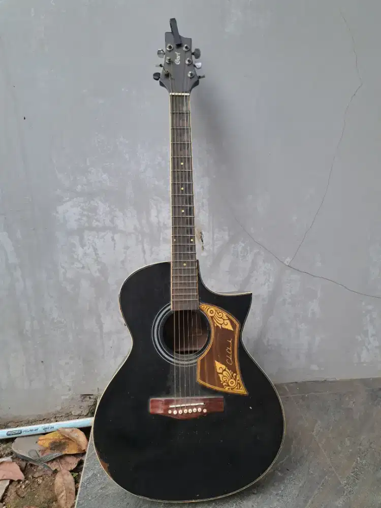 Jual gitar cort AD810 0P