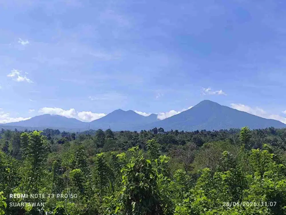 tanah kebun kopi dijual murah yang berlokasi di pupuan tabanan bali kontur datar  melandai dengan view gunung dan lembah lokasi sangat ideal untuk perkebunan