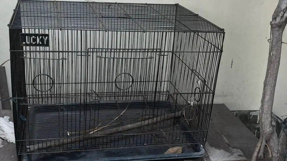 Kandang bekas kucing