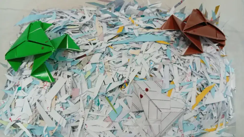 Origami Katak Baru