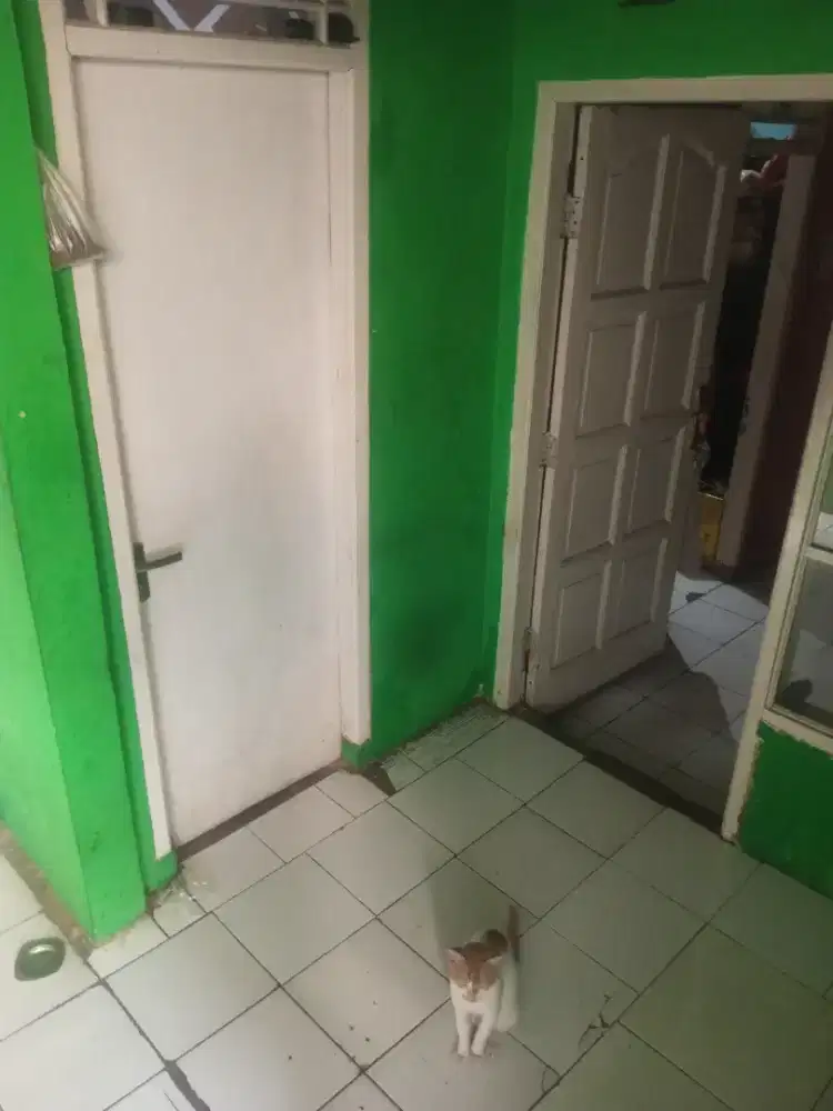 Di sewakan tahunan .bisa d jual cepat