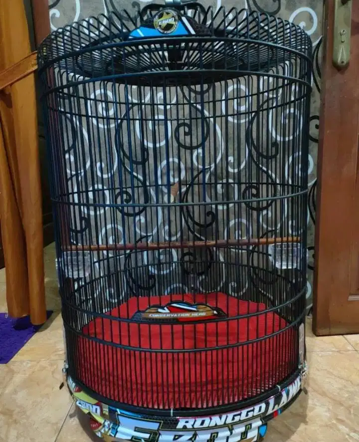 Sangkar Murai Ebod Ronggolawe - No. 2