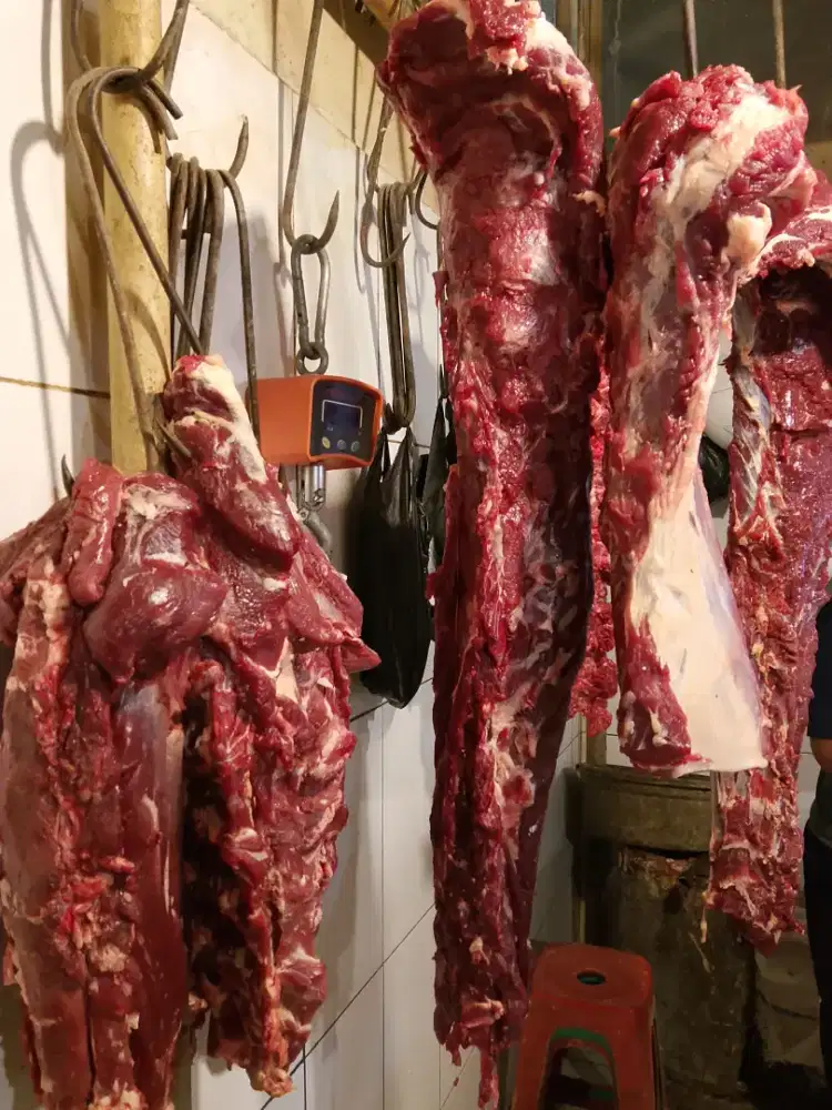 Daging sapi segar