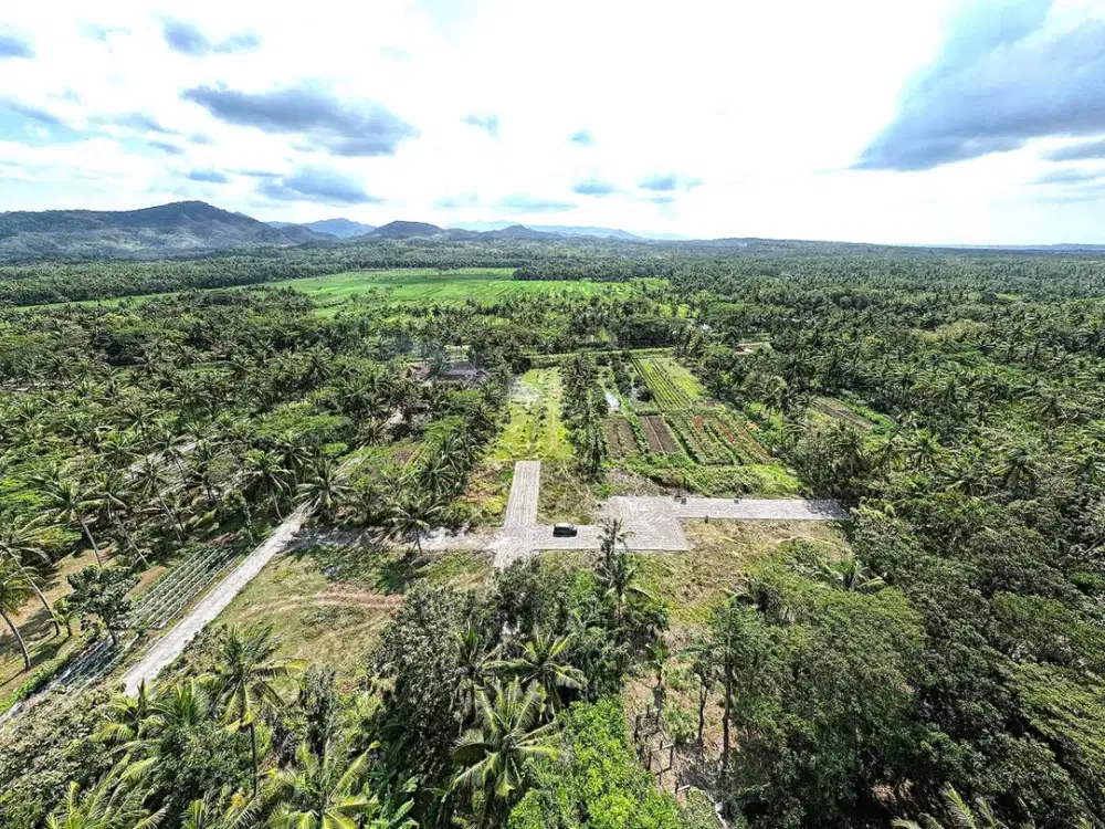 Dekat Stasiun Wates Info Tanah Dijual Jogja di Jl. Kyai Ronggo