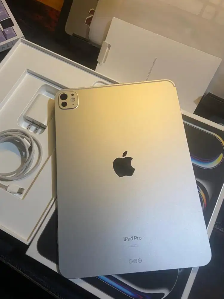 Ipad pro m4 11inch 256gb