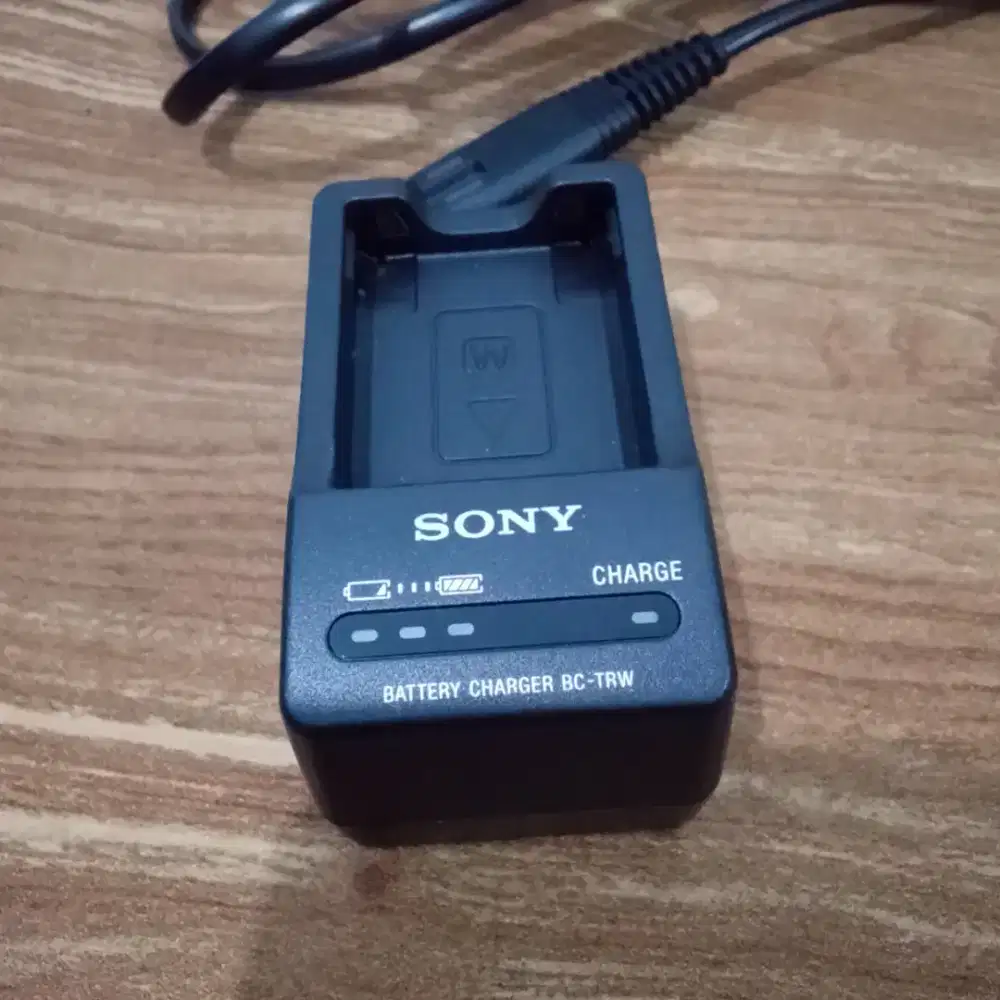 Sony BC-TRW Original Charger