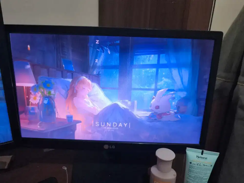 Monitor  19 inc 720p