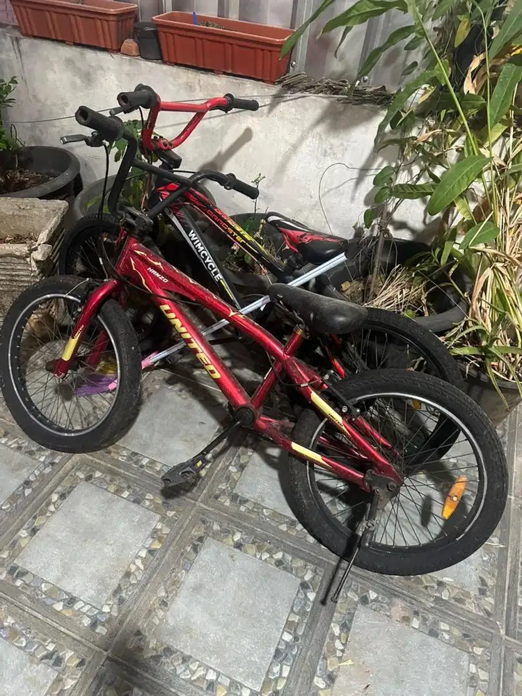 Sepeda anak jual cepat