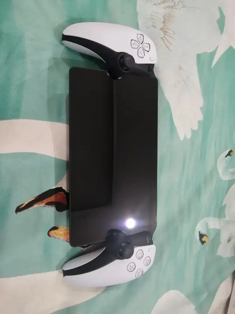 Playstation Portal