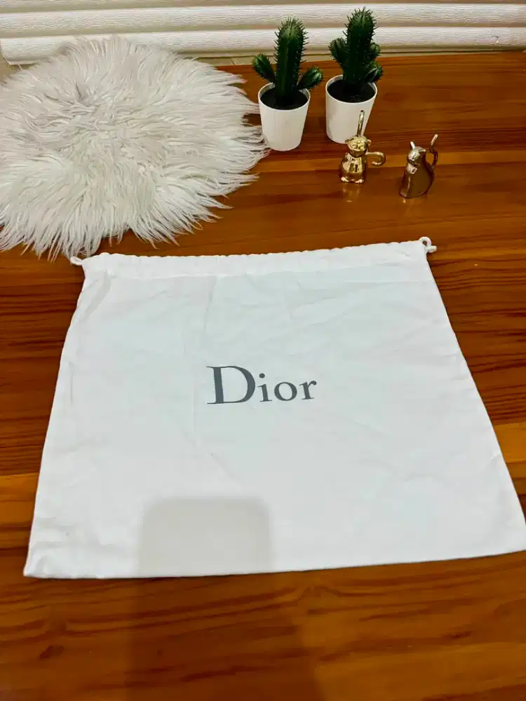 Dior Authentic Dustbag Grey