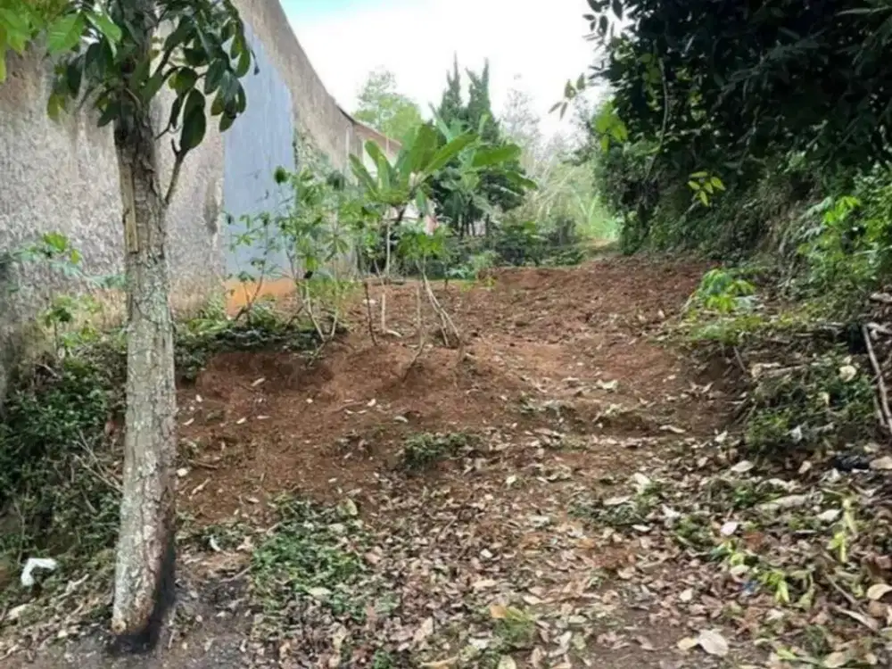 Dijual cepat tanah kavling area cigadung dekat calista dago