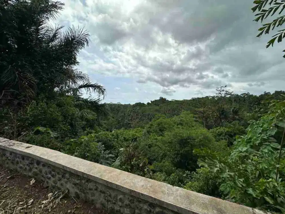 TANAH PREMIUM ZONA PARIWISATA – SAYAN, UBUD VIEW SUNGAI AYUNG