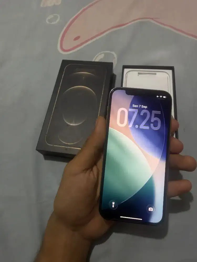 Iphone 12 Pro 128gb IBOX Resmi