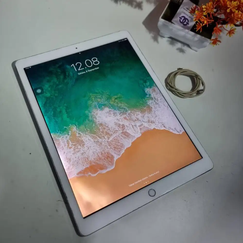 iPad Pro 12.9 512GB Wifi Only iBox – Silver GG8076
