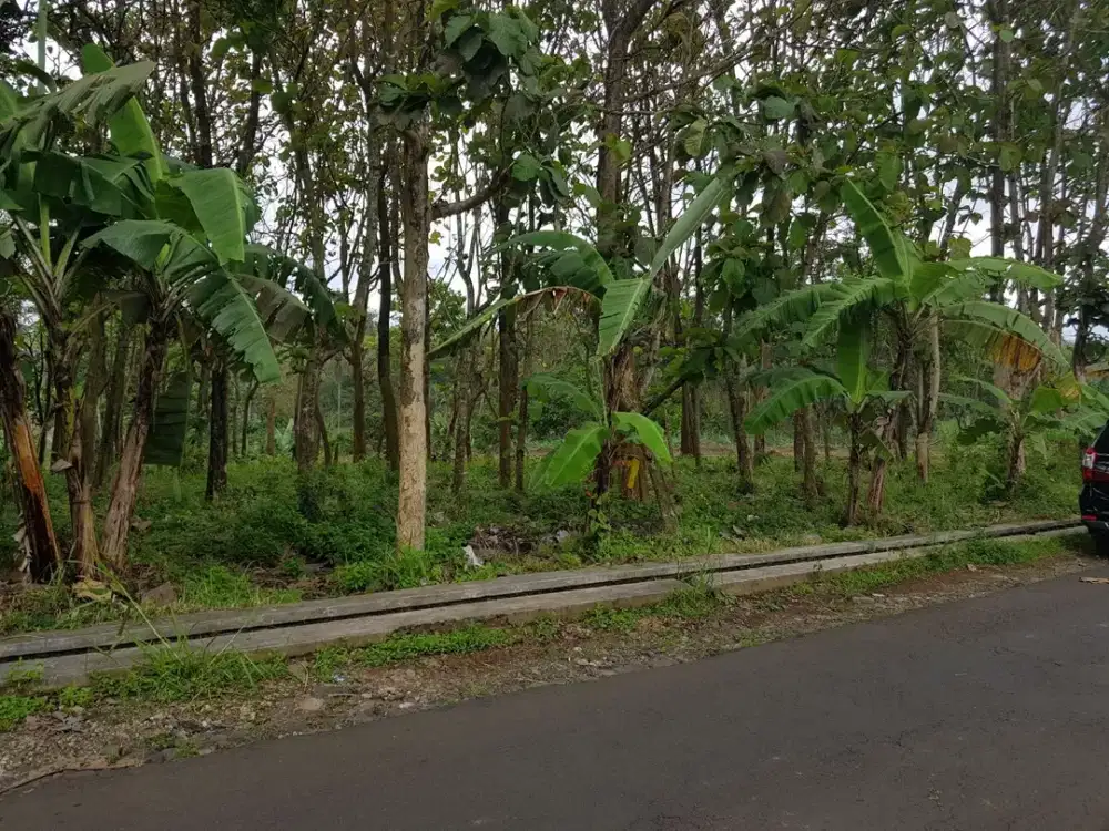 Dijual tanah pekarangan di kucur ,pinggir/poros jalan ,posisi hook.
