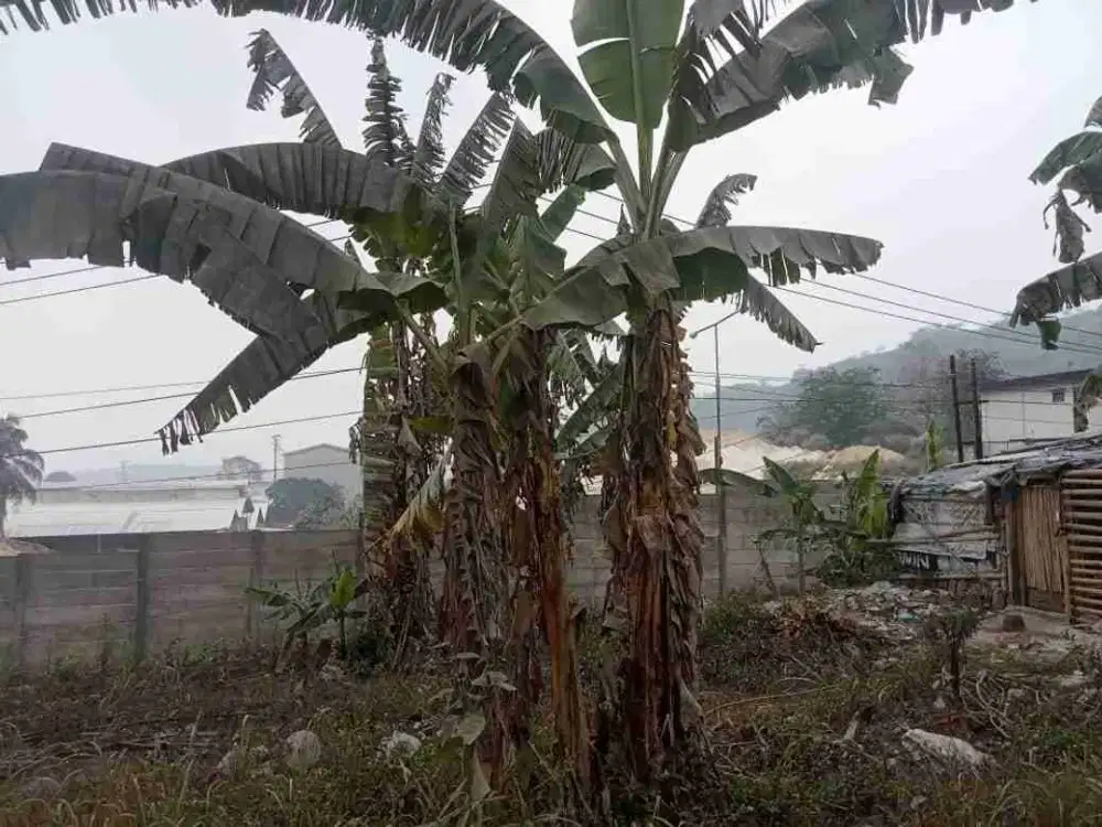 Tanah 3,8 Ha Di Cipatat