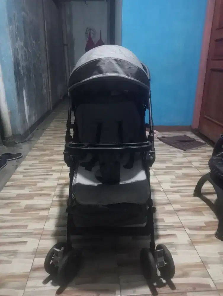 Stroller Babydoes Olla R+