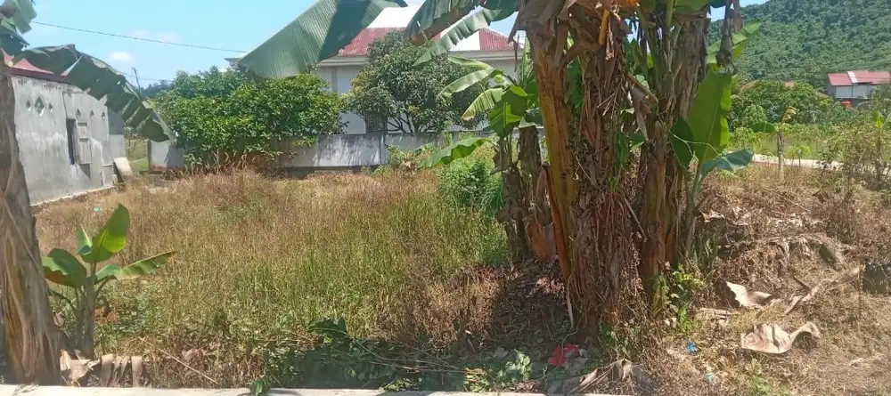 dijual 2 kavling tanah