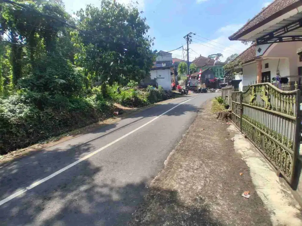 jual tanah murah pinggir jan kabupaten 30,3 are harga 125/ are