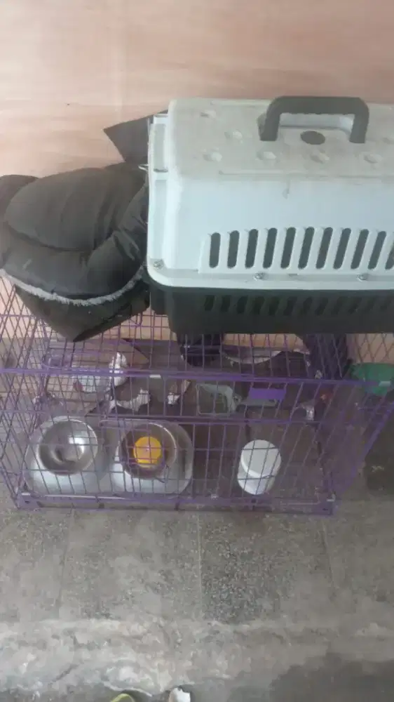 kandang kucing fullset