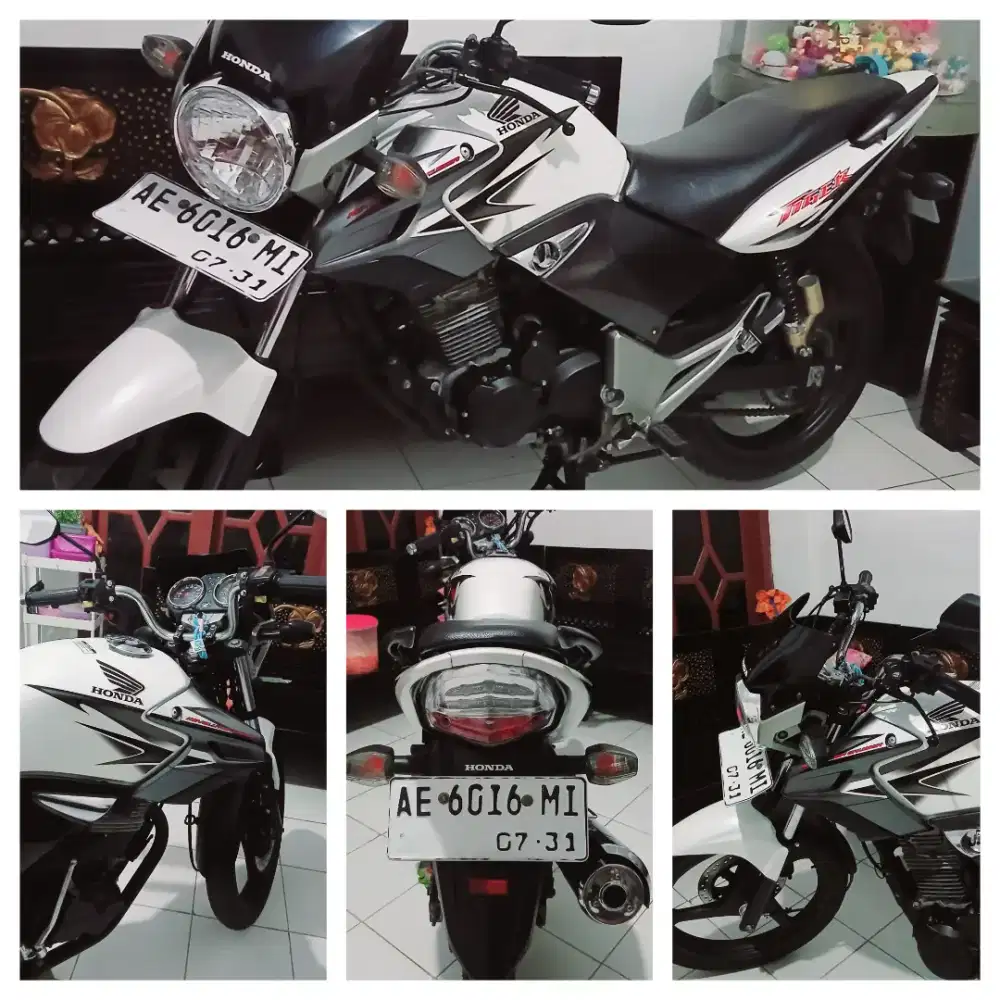 TIGER 2013 ALBINO PJK PLAT BARU 2031 ISTIMEWA