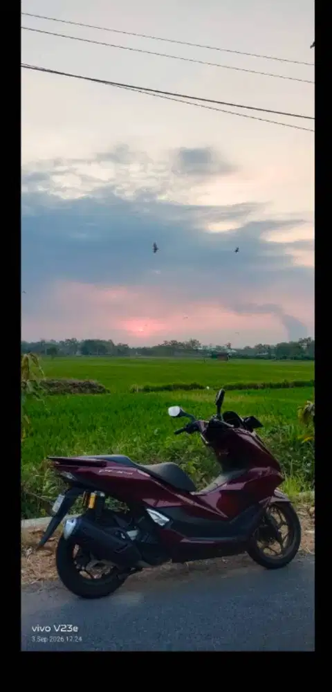 Jual pcx Burgundy 2025
