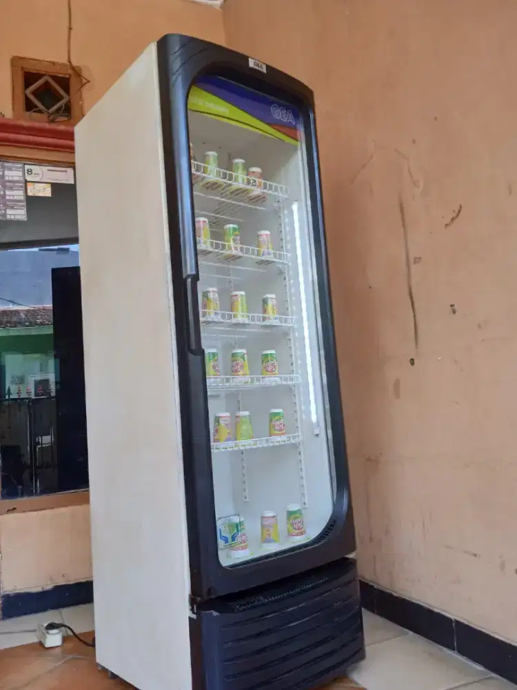 Showcase gea jumbo mulus dingin banget