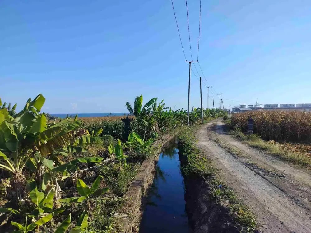 jual tanah murah dekat pantai pasut lt 30 are harga 325/ are