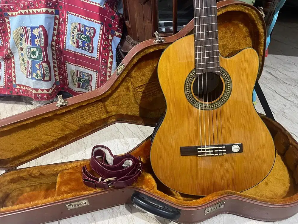 Gitar Brunswick