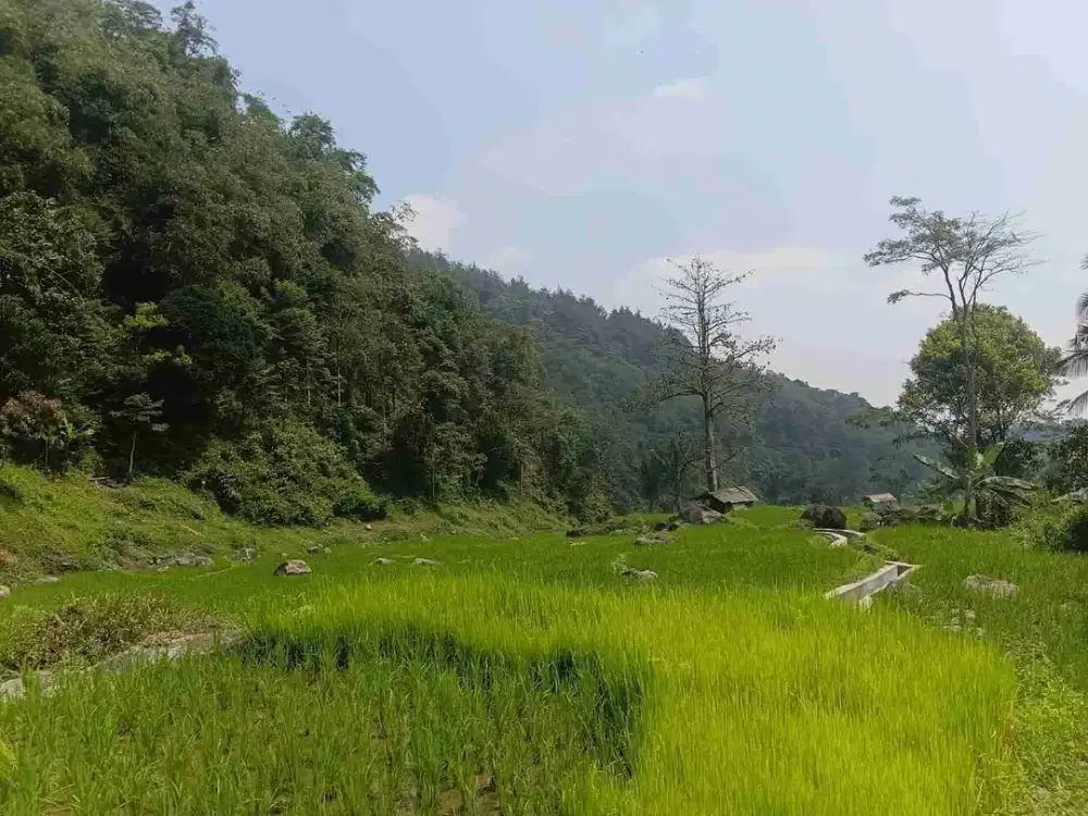 DIJUAL TANAH LUAS 50.0000m²(5ha). diarea wisata pamijahan bogor
