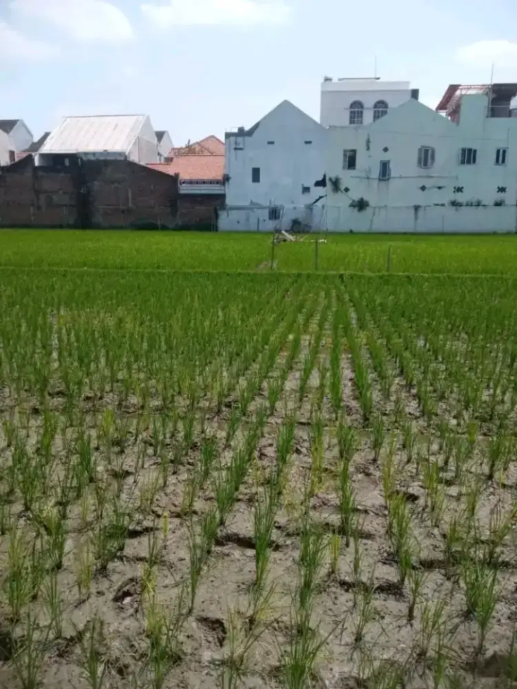 Dijual Tanah kering Banyuanyar L:91m