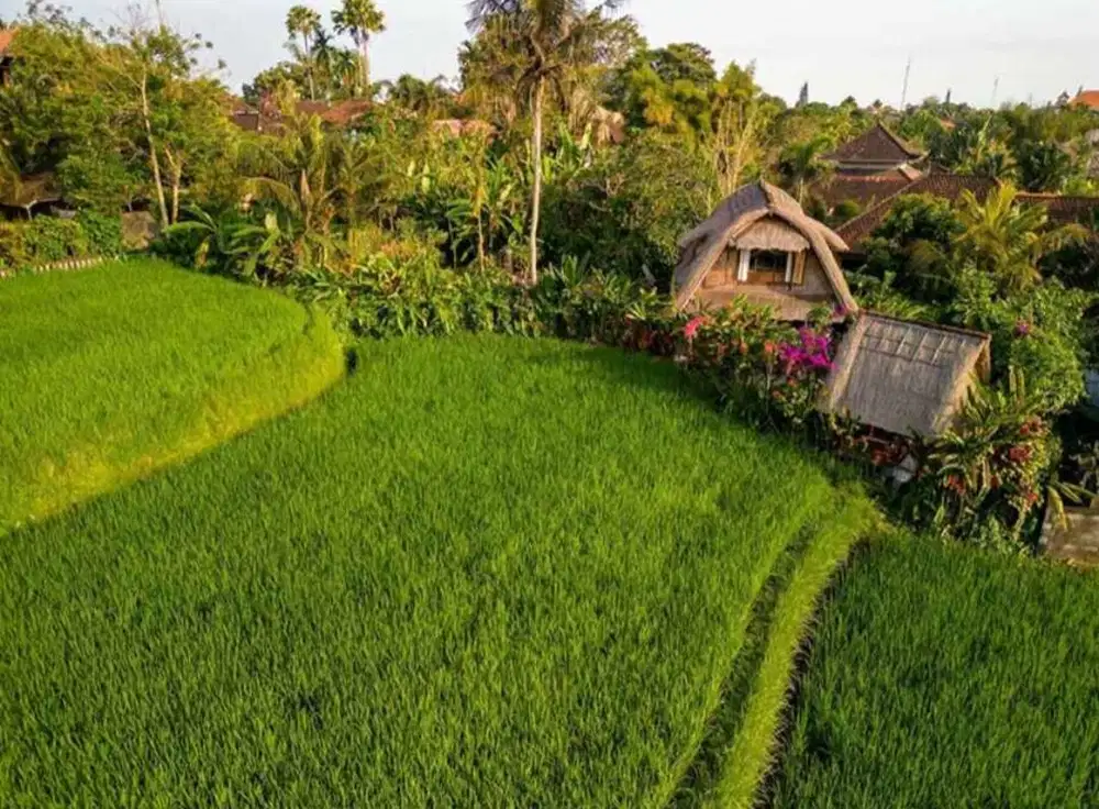 Disewakan 25 tahun Old Balinese Style Rumah