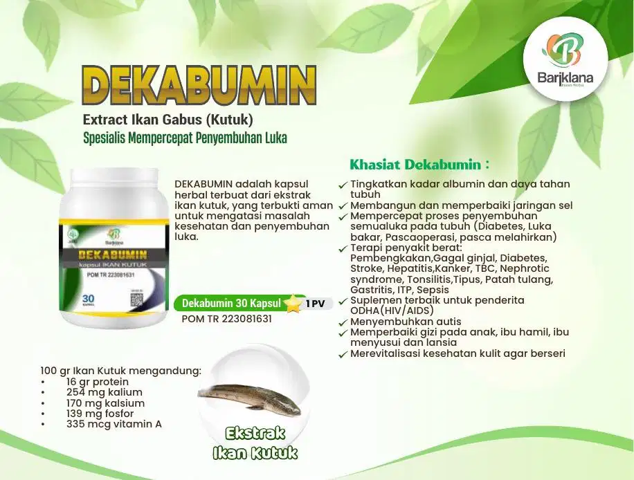 Dekabumin penyembuh luka dari dalam dan menyehatkan tubuh kembali